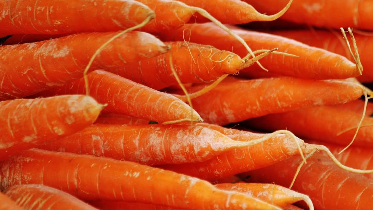 Carrots, This Is a Long Title About Just Carrots