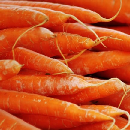 Carrots, This Is a Long Title About Just Carrots