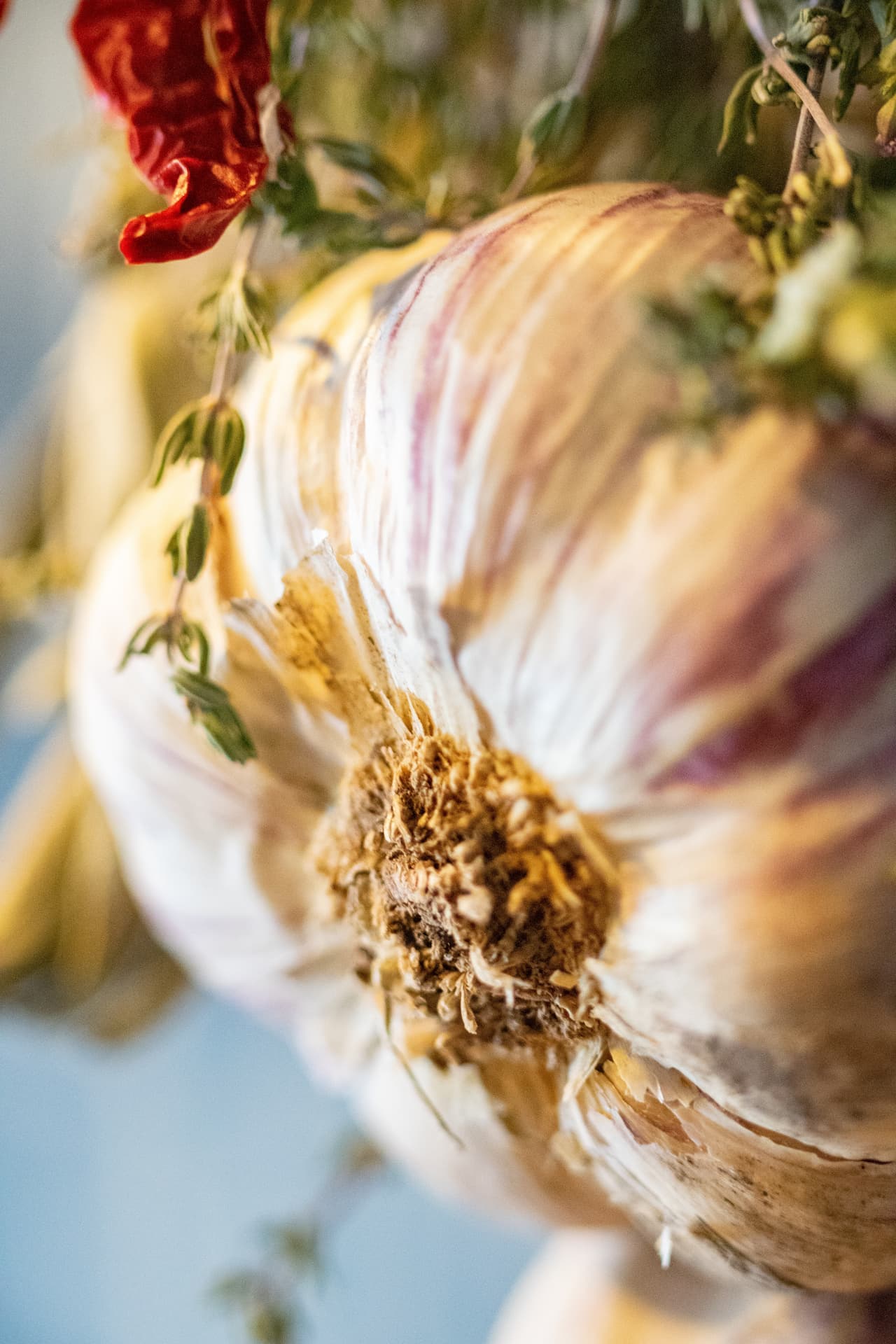 Close up of garlic